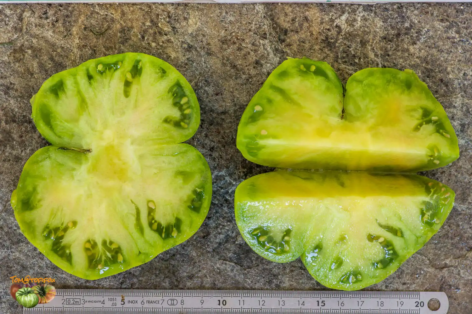 image d'une tomate Aunt ruby german green