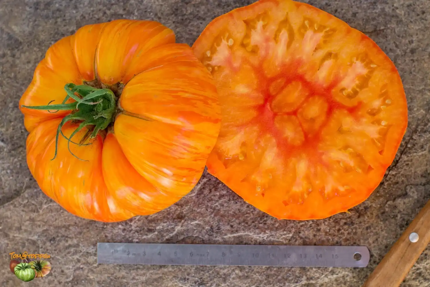 image d'une tomate Beauty king