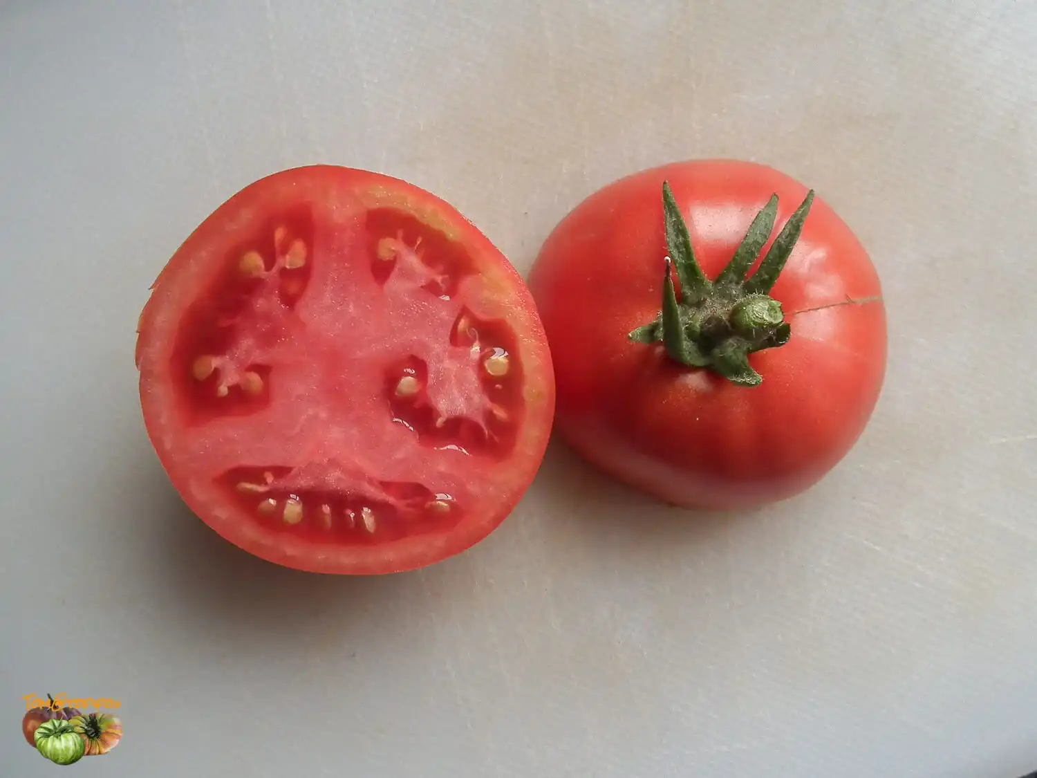 image d'une tomate Edouard