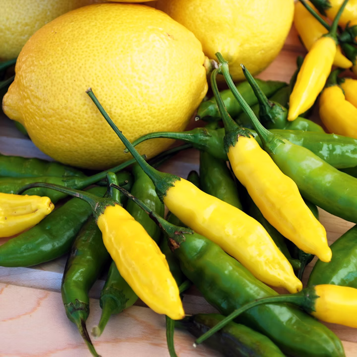 image d'une tomate Lemon Drop
