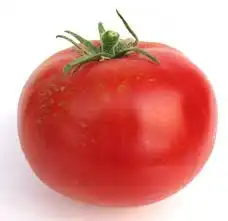 image d'une tomate Manuzienne