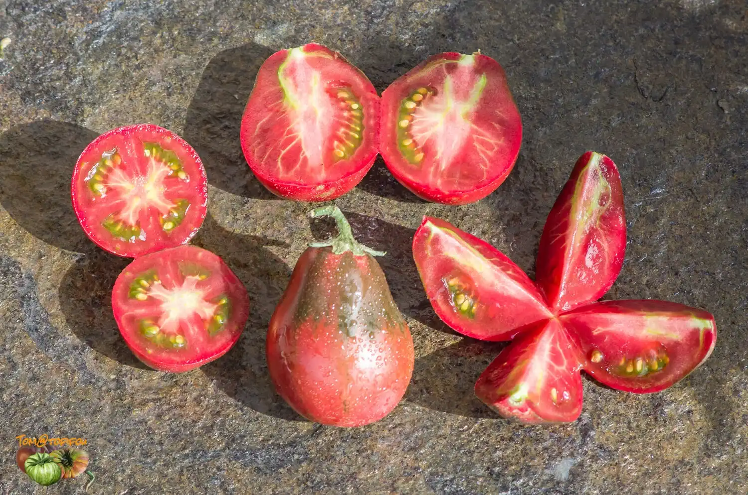 image d'une tomate Wine jug